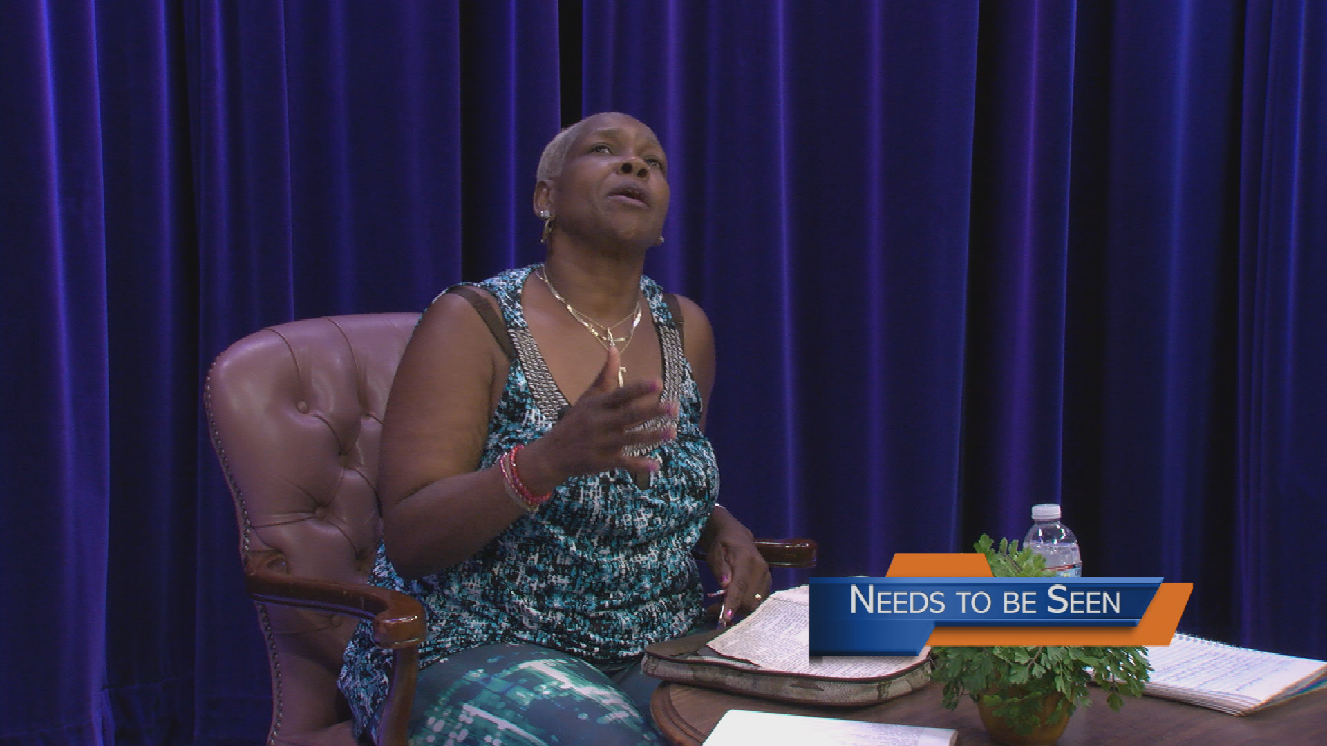 Thumbnail image for Needs to be Seen - 312