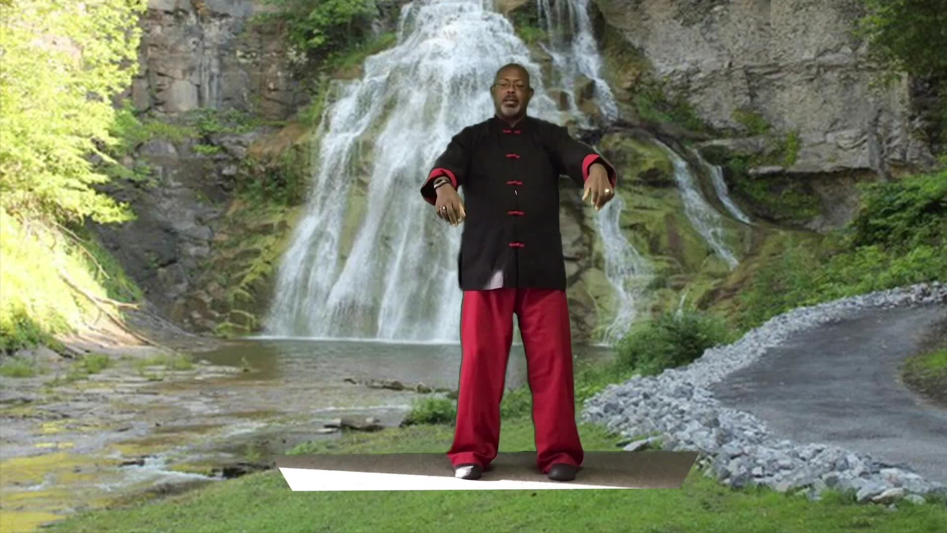 Thumbnail image for Tai Chi with Elijah - 03