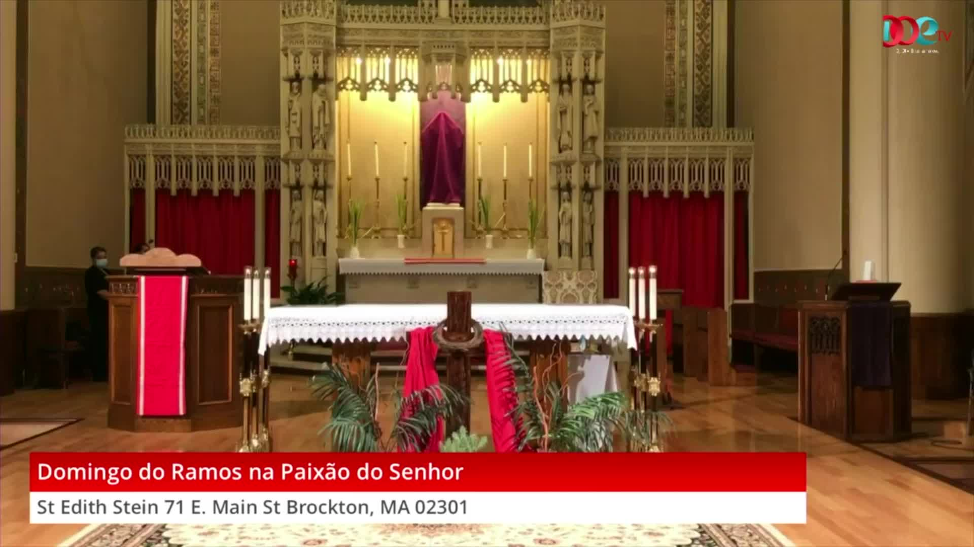 Thumbnail image for Domingo do Ramos na Paixão do Senhor (3-28-21)