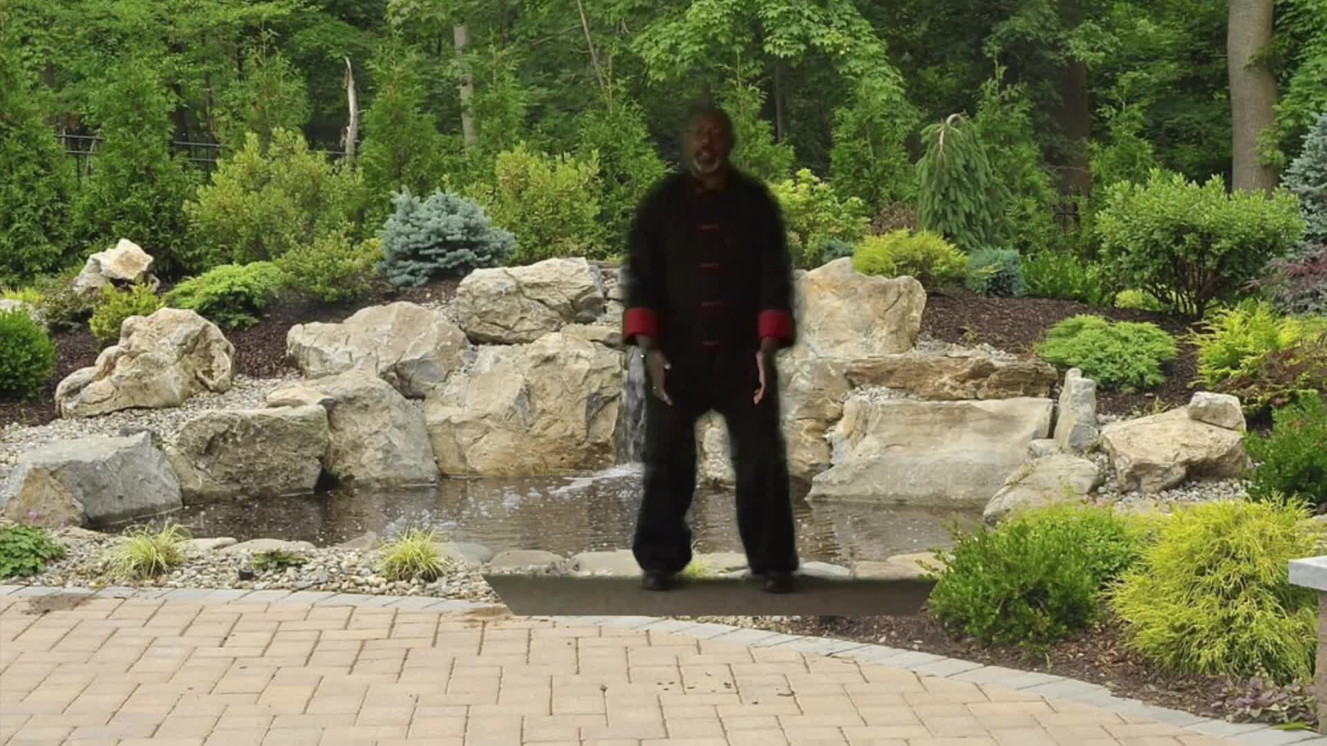 Thumbnail image for Tai Chi with Elijah - 20