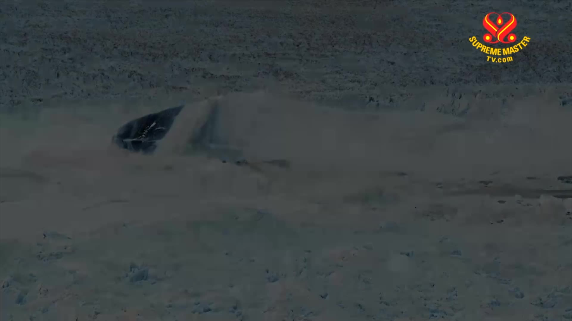Thumbnail image for Planet Earth - Ocean Warming - A Call to End the Climate Crisis