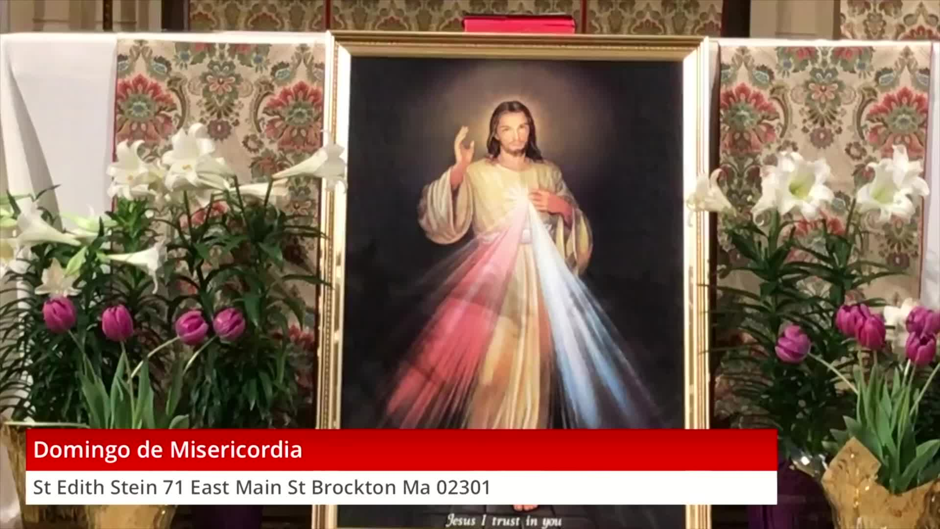 Thumbnail image for Domingo da Divina Misericórdia (4-11-21)