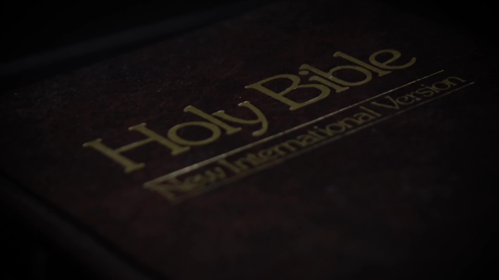 Thumbnail image for Needs to be Seen - 362