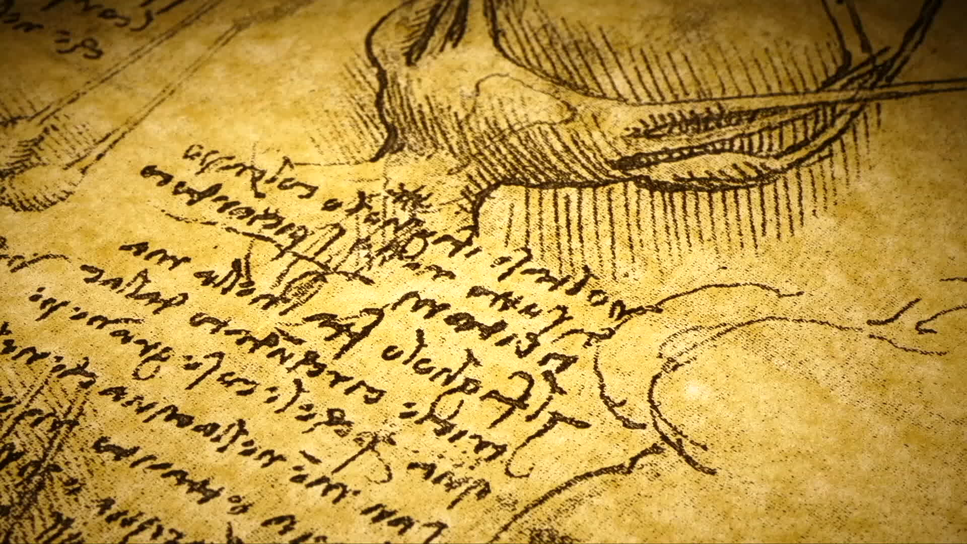 Thumbnail image for Books, Art, Music & More - 12