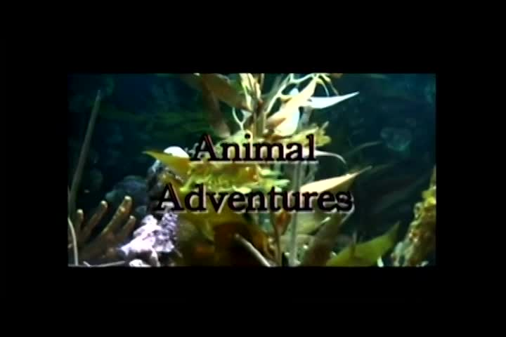 Thumbnail image for Animal Adventures - 08 - Mass Audubon Gardner - Part 1