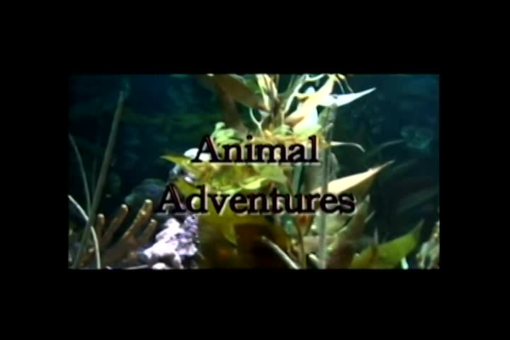 Thumbnail image for Animal Adventures - 09 - Mass Audubon Gardner - Part 2