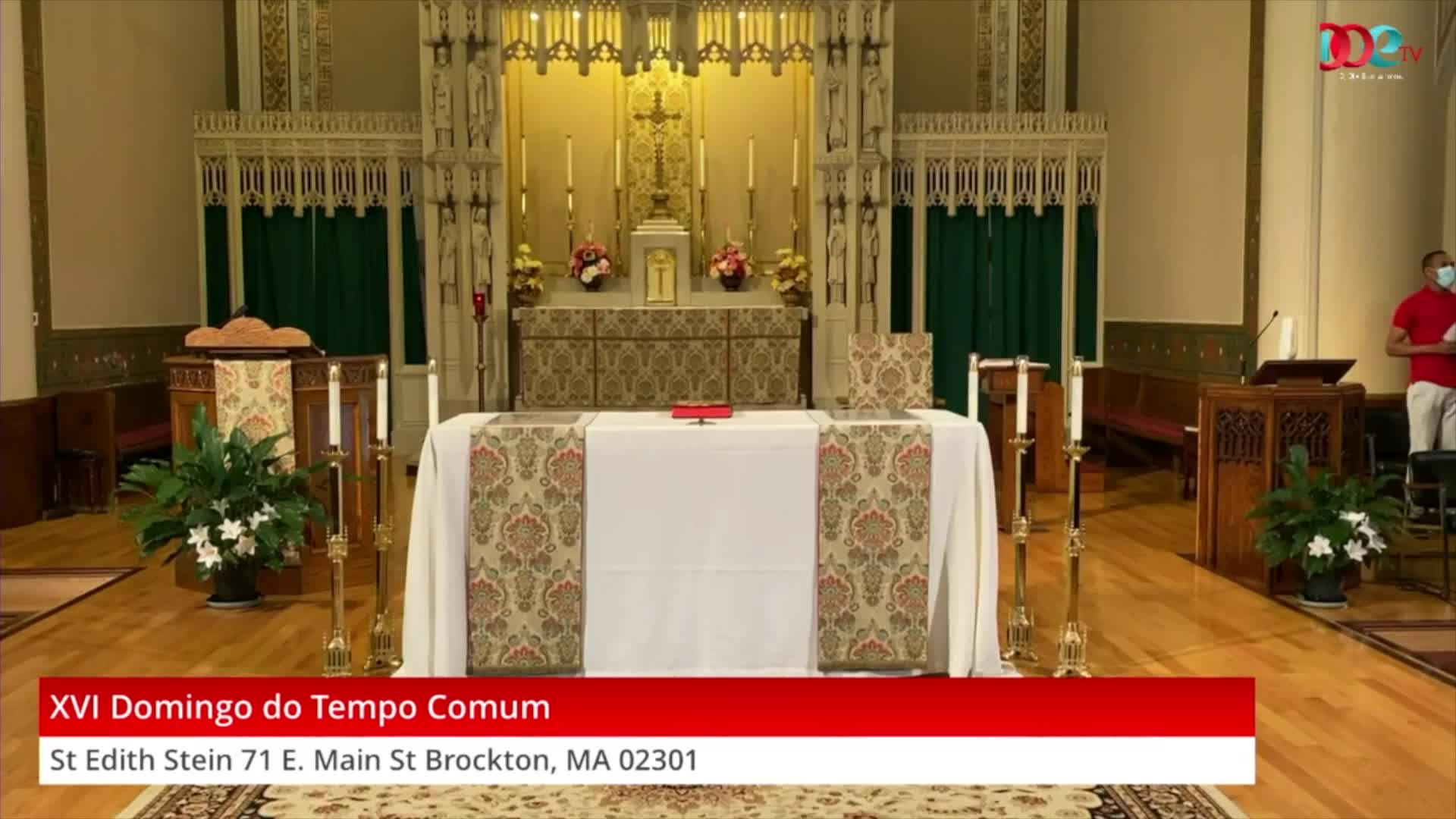 Thumbnail image for XVI Domingo do Tempo Comum (7-18-21)