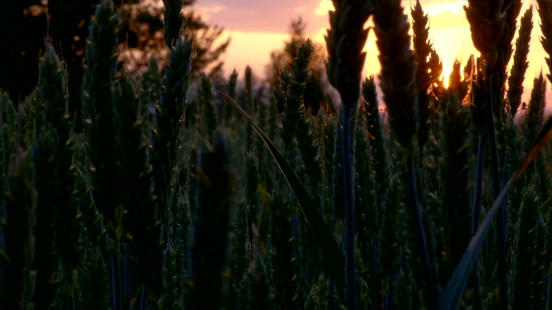 Thumbnail image for Needs to be Seen - 376