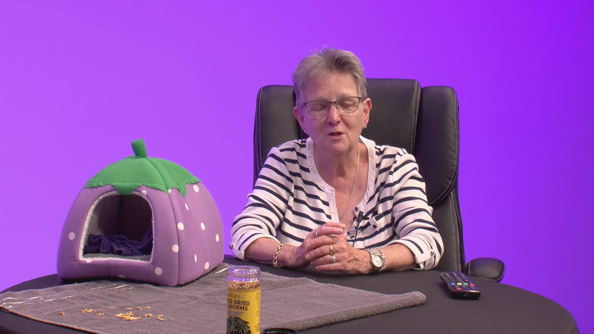 Thumbnail image for Books Art Music & More - Ep. 77 (8/22/2025)