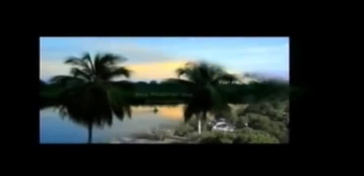 Thumbnail image for Tele Soleil de Brockton - 10
