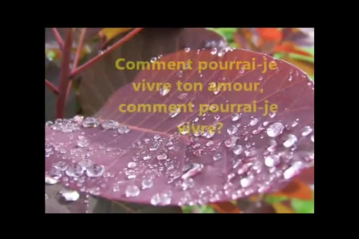 Thumbnail image for Tele Soleil de Brockton - 18