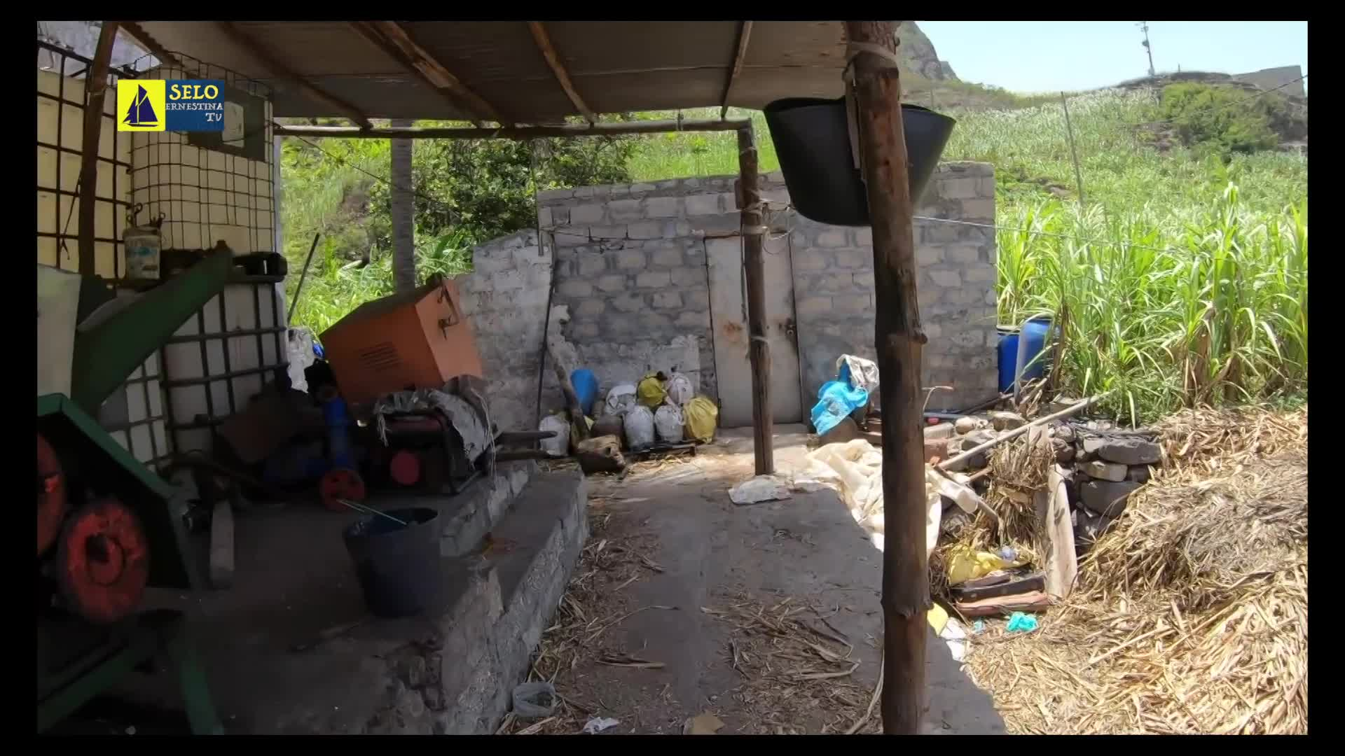 Thumbnail image for Selo Ernestina - 1093