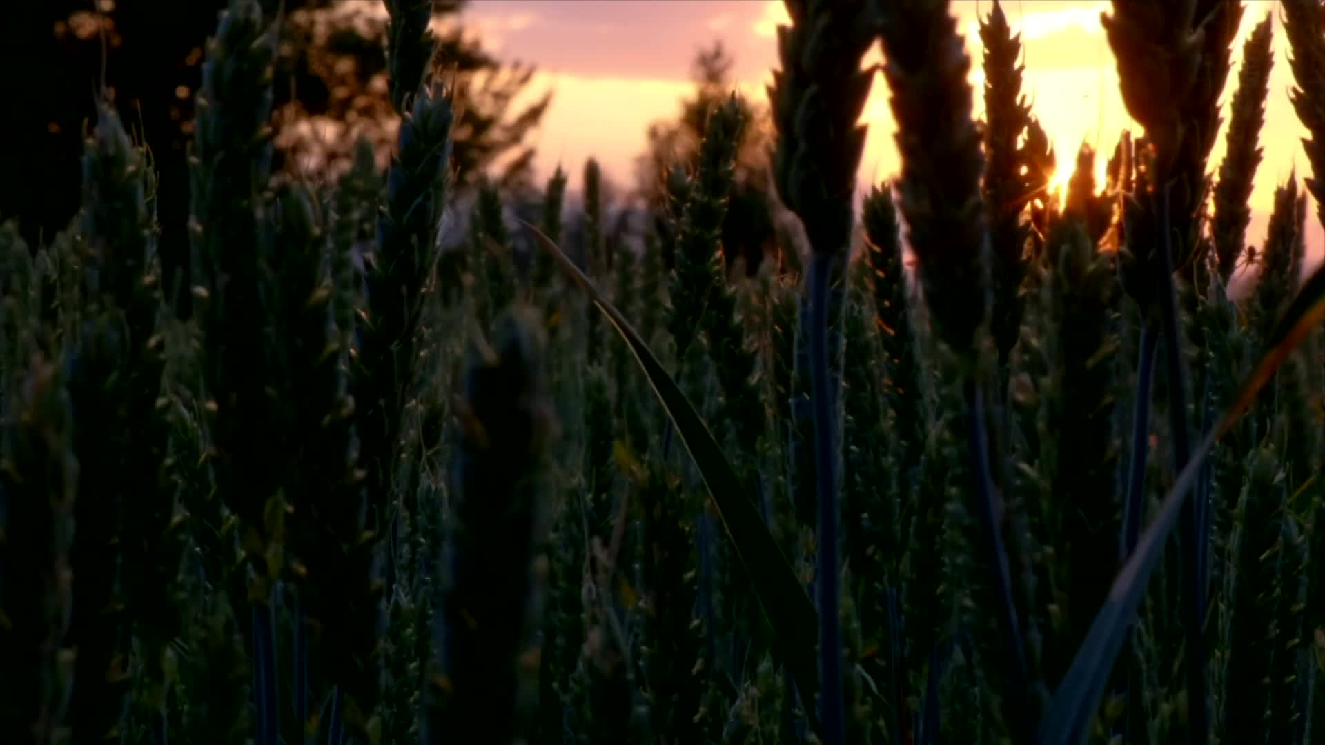 Thumbnail image for Needs To Be Seen - Ep 392 (03/24/2023)